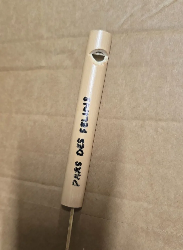 Pipeau