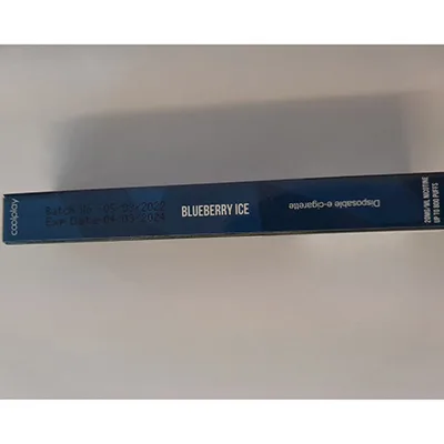 Disposable electronic cigarette