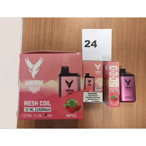 Disposable electronic cigarette