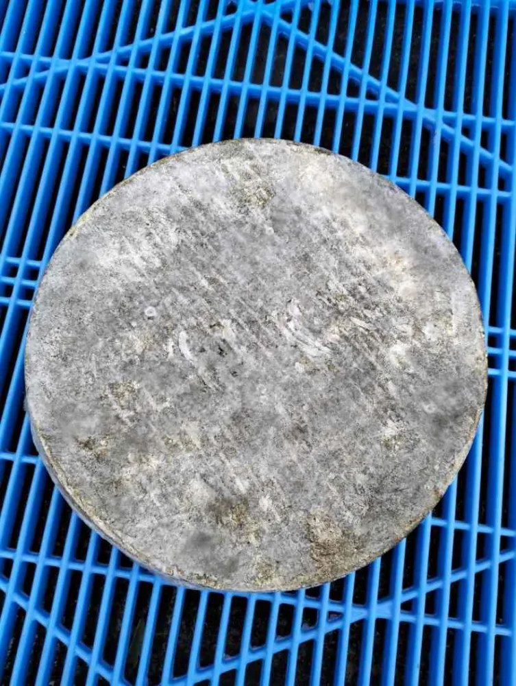 Saint-nectaire fermier aop