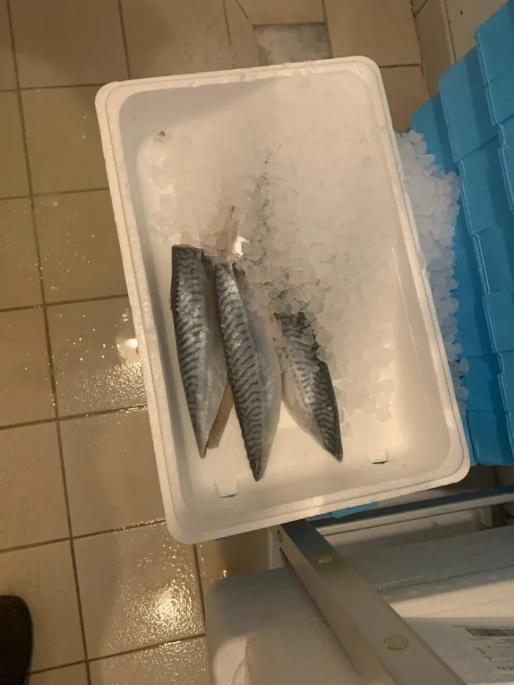 Filet de maquerau