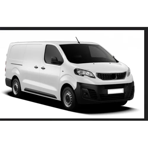 Passenger van / Light commercial vehicle