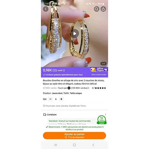 Earrings