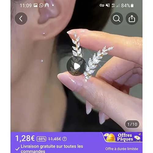 Earrings