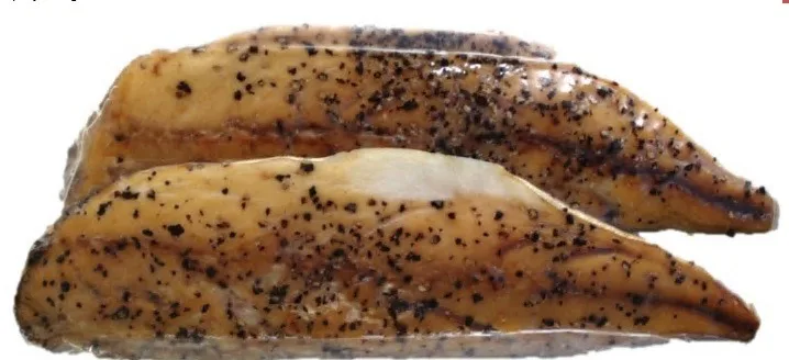 Filets de maquereau au poivre cuits