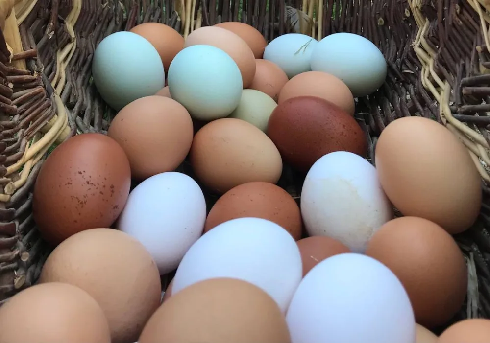 Oeufs