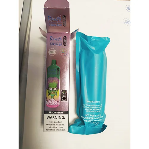 Disposable electronic cigarette