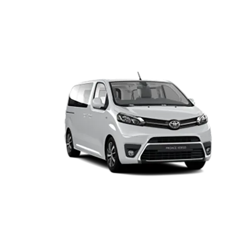 Passenger van / Light commercial vehicle