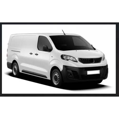 Passenger van / Light commercial vehicle