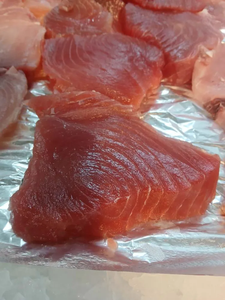 Thon albacore