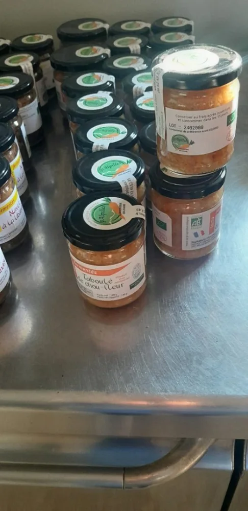 Les lactofermentes