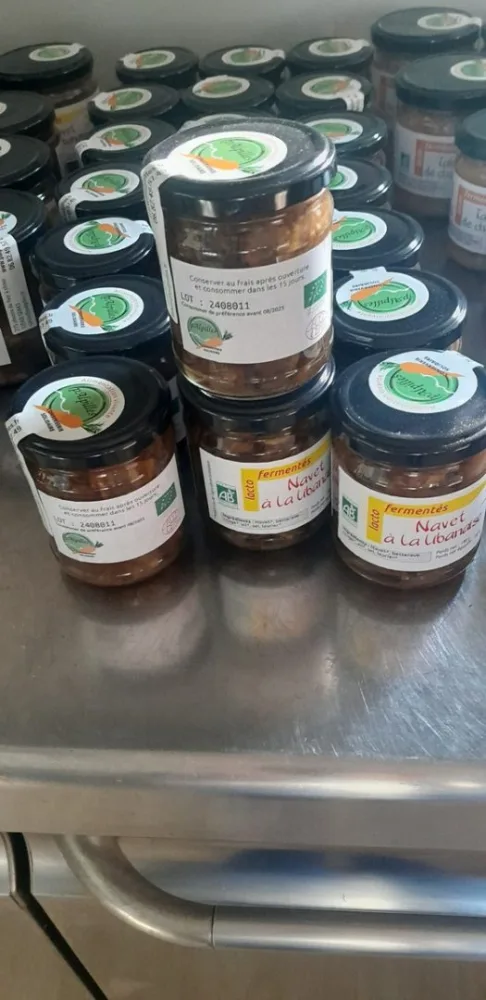Les lactofermentes