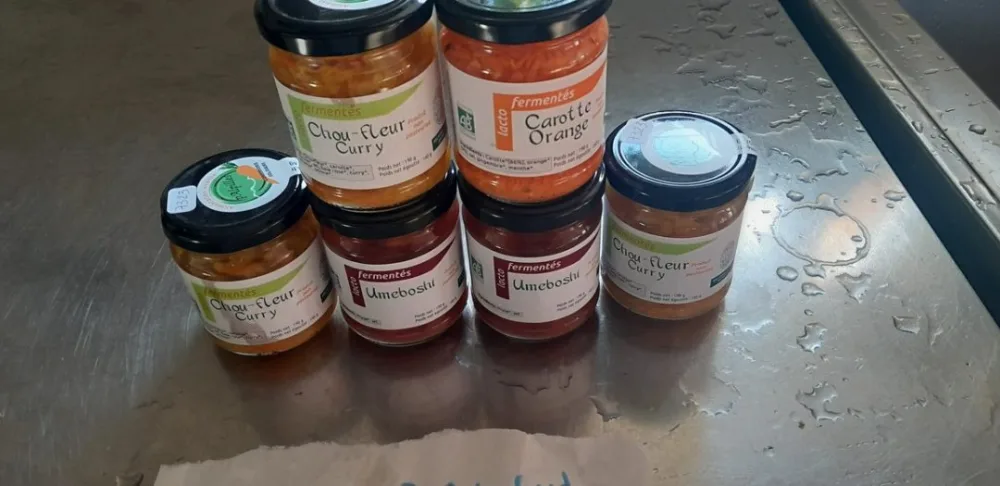 Les lactofermentes