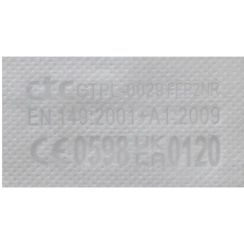 Particle filter mask