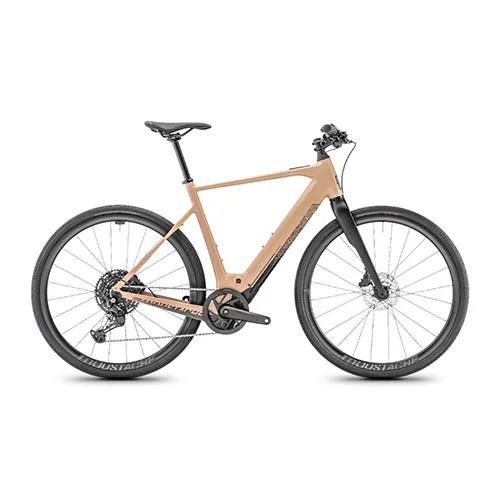 Electric bicycle