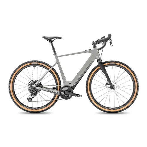 Electric bicycle