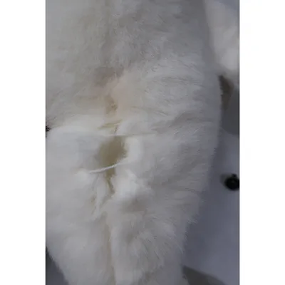 Plush toy