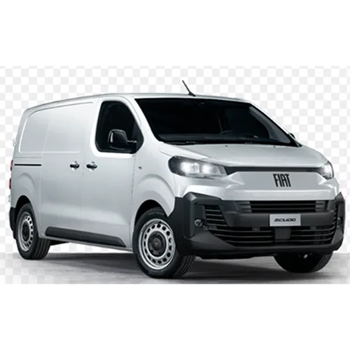 Passenger van / Light commercial vehicle