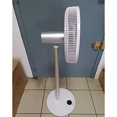 Fan