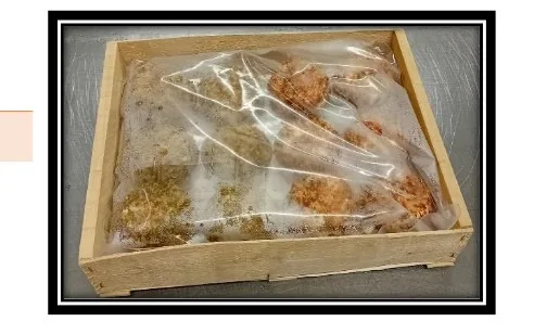 Fromage fermier de chèvre au lait cru