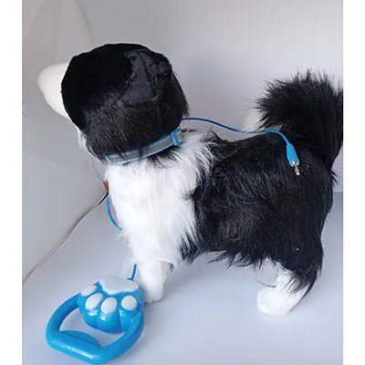 Toy dog