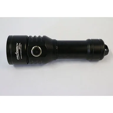 Light with laser pointer