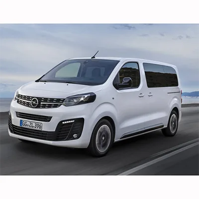 Passenger car / Light commercial vehicle