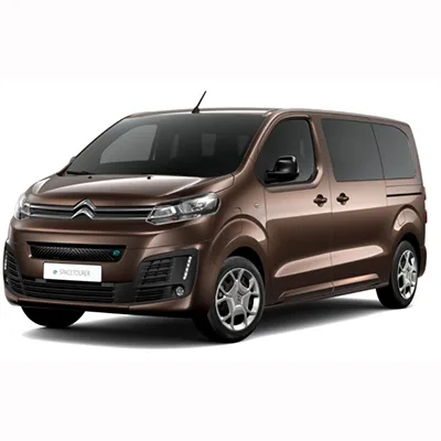 Passenger van / Light commercial vehicle