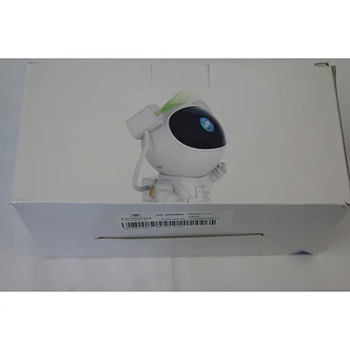 Projector