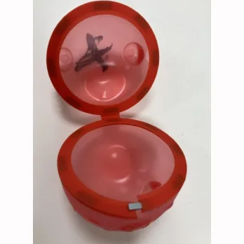 Magnetic toy