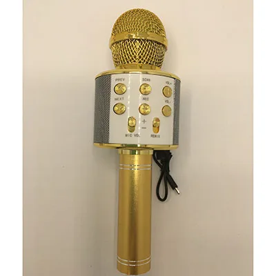 Microphone