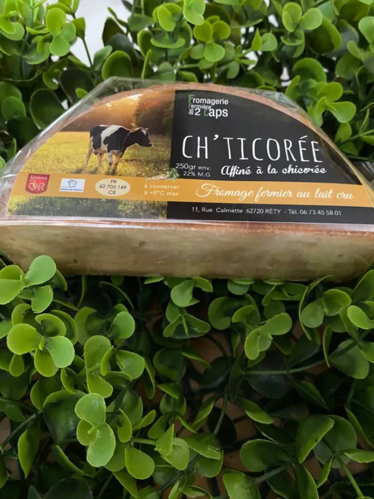Chticorée