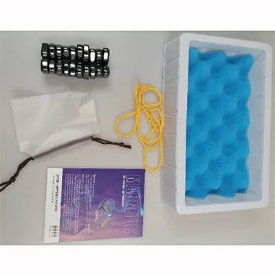 Magnetic toy