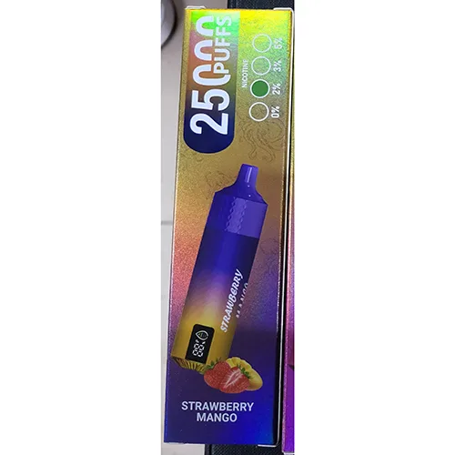 Disposable electronic cigarette