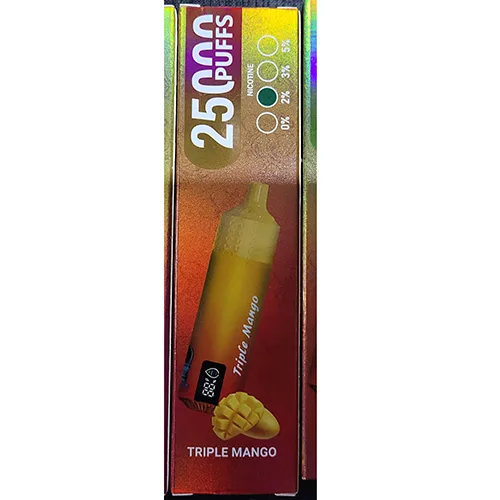 Disposable electronic cigarette