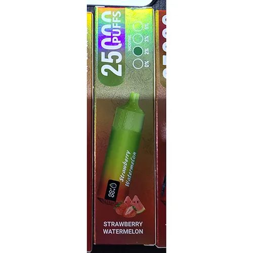 Disposable electronic cigarette