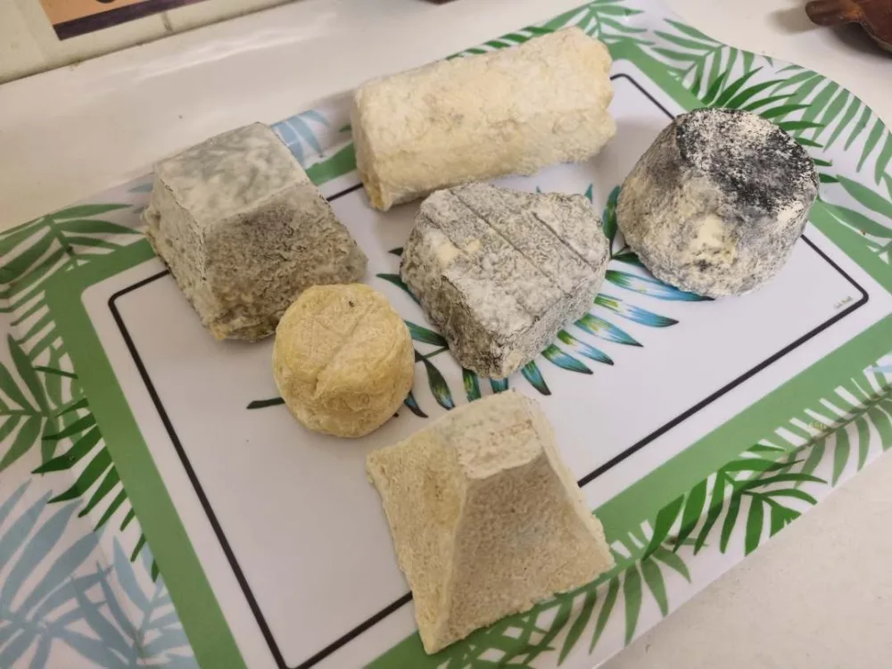 Fromages de chèvre