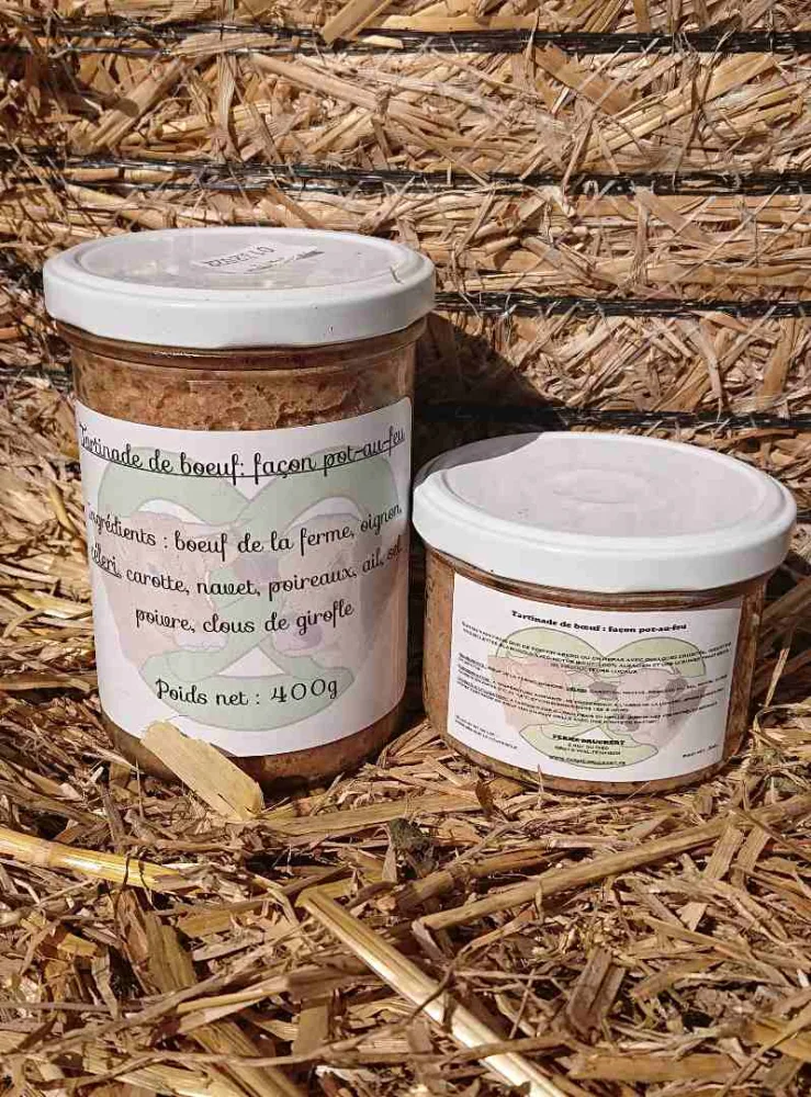 Tartinade de boeuf