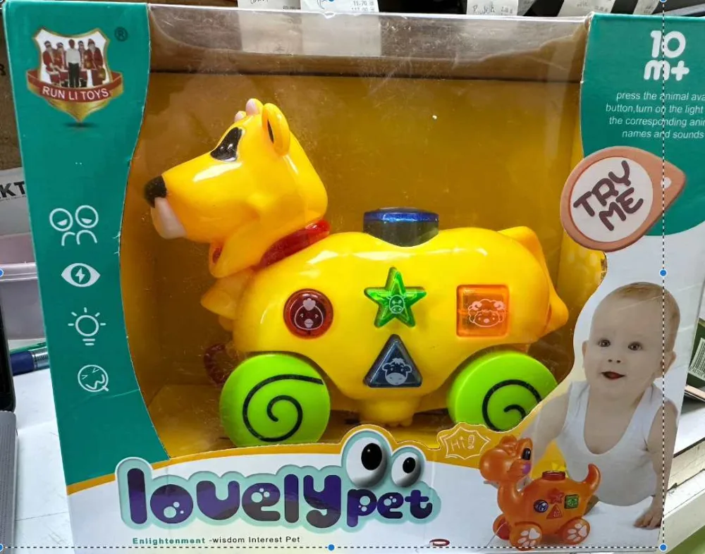 Lovely pet