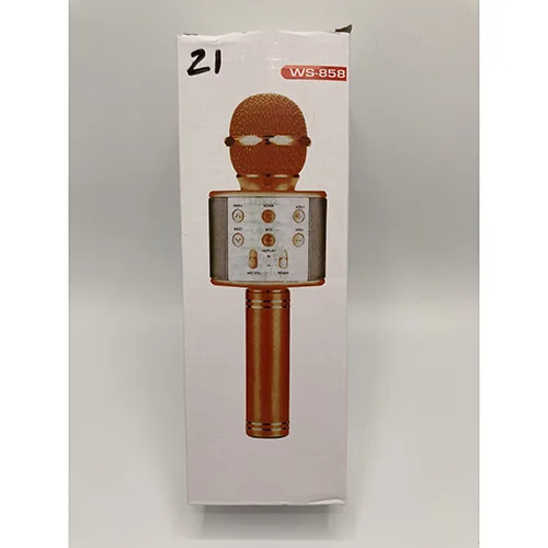 Karaoke microphone
