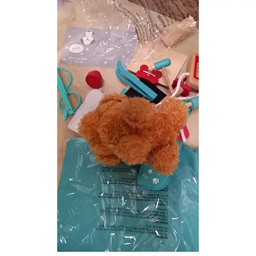 Veterinarian play set