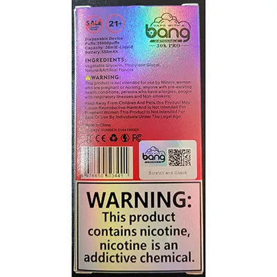 Disposable electronic cigarette