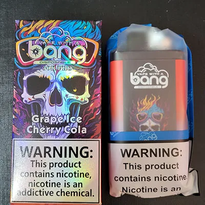 Disposable electronic cigarette