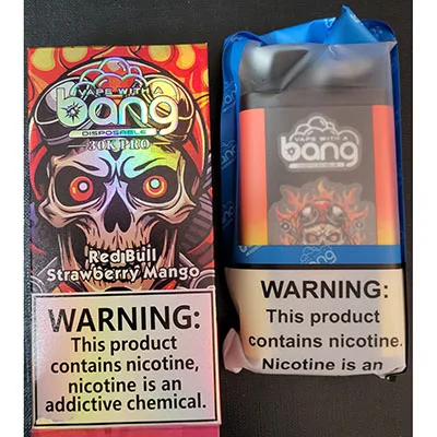 Disposable electronic cigarette
