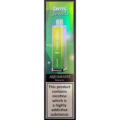 Disposable electronic cigarette