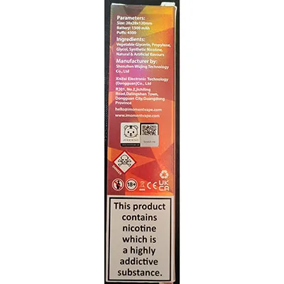 Disposable electronic cigarette