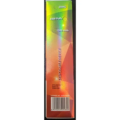 Disposable electronic cigarette