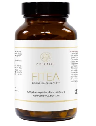 Fitea