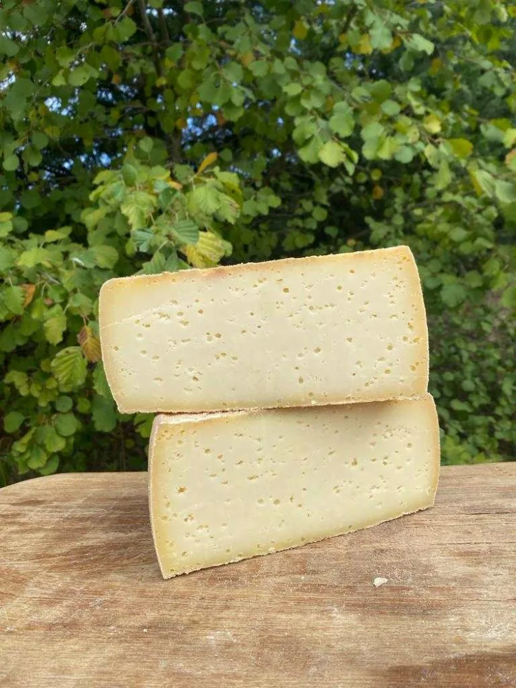 Tomme de vache