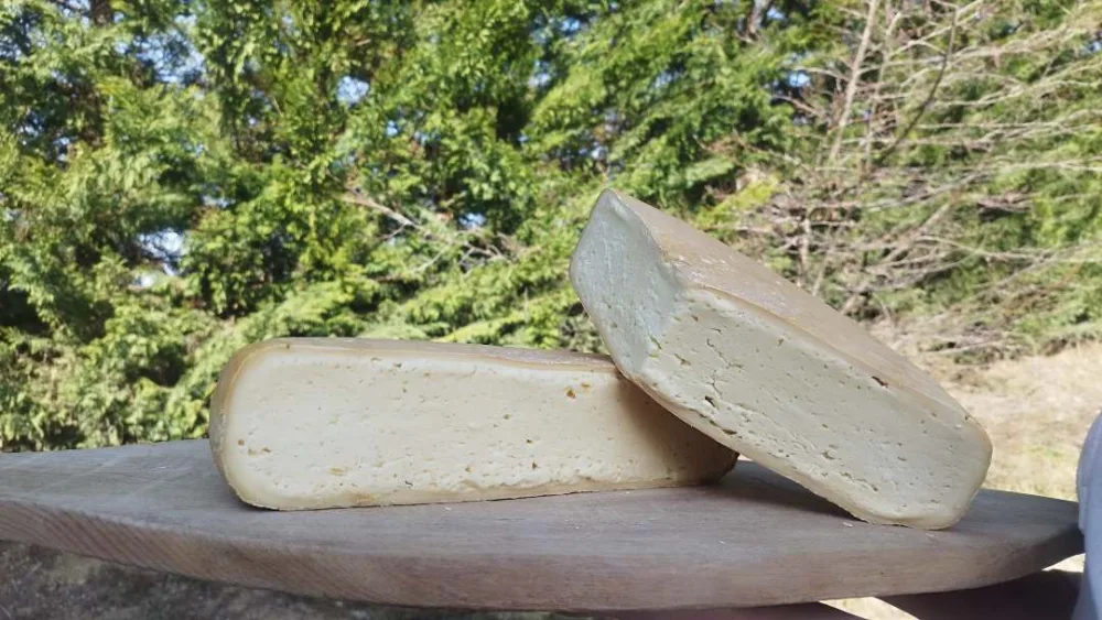 Montbrichon de vache